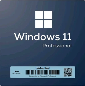 Windows 11 Win 11 Pro / Professional Key | Sofortdownload - Bild 1 von 2