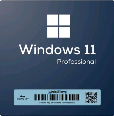 Windows 11 Win 11 Pro / Professional Key - Bild 1 von 2