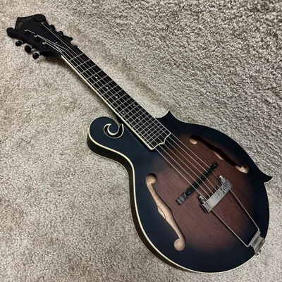 Mandolina eléctrica tono dorado F-6 6 cuerdas estilo F con estuche Foto 1 de 4