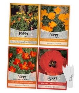 Poppy Seeds for Planting Outdoors Flower Seeds (4 Variety Pack) Poppies - Picture 1 of 8