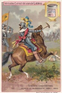 Liebig 6 cards V/G:  S693 Great Generals (French)