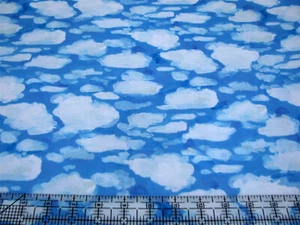 Edredón de tela de algodón de 3 yardas - Tesoros atemporales Marina blanco nube azul cielo - Imagen 1 de 1