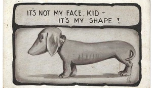 Kanada Karte "It's not my face, Kid - it's my shape!", mit Kristallstrand, Ont 1910 - Bild 1 von 2