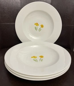 Set of 4 Create & Barrel ANNA’S ARTISTRY Large Rim Soup Bowls 9 1/4” Germany  - Picture 1 of 9