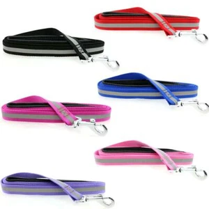 Reflective Dog Leash Soft Grip Handle - 3/4 in. x 5 ft. Doggie Design - Picture 1 of 2
