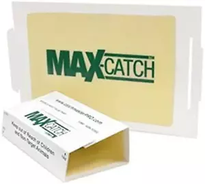 Mice Glue Traps Pest Sticky Boards 72 MAX Trap Catch Spiders Insects, 36 Count. - Picture 1 of 2