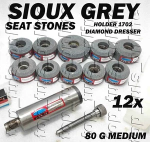 12x VÁLVULA PIEDRAS SIOUX Y GRISES + SOPORTE + TOCADOR DE DIAMANTES 25 a 43 m 80 GRIT MED - Imagen 1 de 1