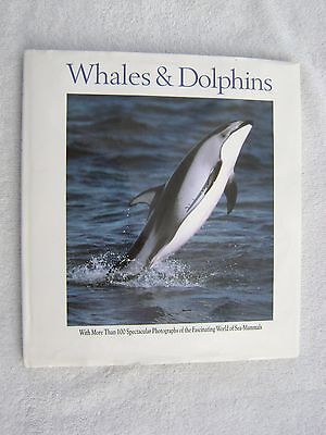  Whales And Dolphins Book Maritime Nautical Marine (#174) • 25.73$