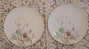 Piatti Lenox Westwind Fall Leaves lotto di 2 vintage 10,5" ottime condizioni - Foto 1 di 9