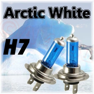 VOLVO V70 1997 - 2009 Xenon Arctic White Bulbs H7 - Picture 1 of 1