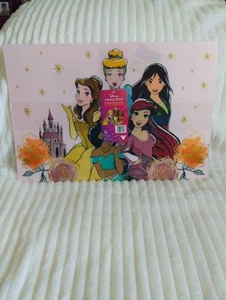 DISNEY PRINCESS Group Pic 2-Pack Plastic Placemats 11.5”x17” Textured HomeDecor  - Picture 1 of 11