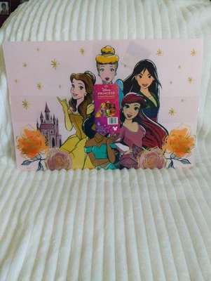 DISNEY PRINCESS Group Pic 2-Pack Plastic Placemats 11.5”x17” Textured HomeDecor  - Image 1 of 4