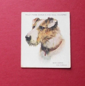 WILL'S AUSTRALIA CIGARETTE CARD - DOGS CARD NO 18 - Picture 1 of 2