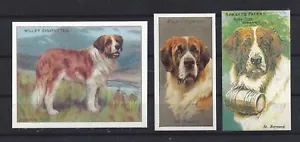 Juego de 3 tarjetas de cigarrillo arte perro reproducción Reino Unido 1903-1940 SAINT BERNARD - Imagen 1 de 1
