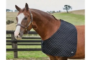 WeatherBeeta Deluxe Shoulder Guard RRP$39.99 Quilted Full Satin Lined Horse - Picture 1 of 6