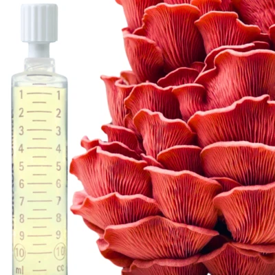 Pilzwunder | Flüssigmyzel | Pilze selber züchten | Pilzkulturen - Bild 1 von 2