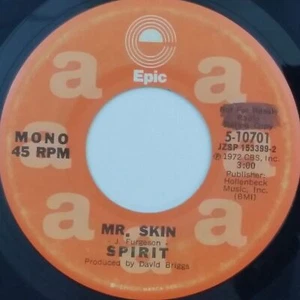 SPIRIT Mr. Skin 510701 7" 45rpm Vinyl VG+ Mono / Stereo 1972 WoL - Imagen 1 de 2
