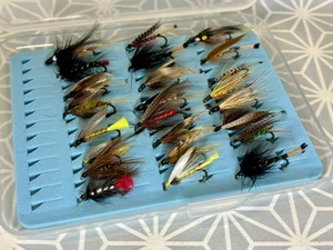24 Moscas Trucha de Mar - Varios Patrones - Preciosa Mezcla - Nuevas y en Caja - Talla 6/8 - Imagen 1 de 6