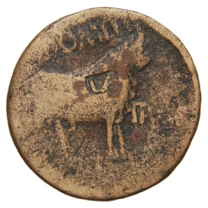 ROM. PROVINZIAL (HISPANIEN, LERIDA-CELSA) - 5-3 v. Chr. AE As - Augustus - Gegenmarke - Bild 1 von 2