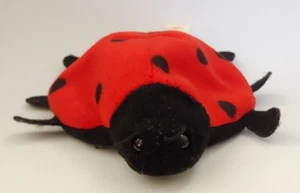 Ty Beanie Babies "Lucky" the Ladybird 11 Spot 1993 ohne Hang Tag - Bild 1 von 4