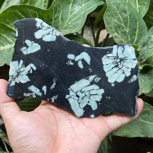 289Gr NATURAL CHRYSANTHENUM STONE CRYSTAL MINERAL SLICE SPECIMEN - Picture 1 of 5