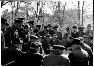 Photo Berlin, Bert Sass, pensioners playing cards in the park,... - 10356043