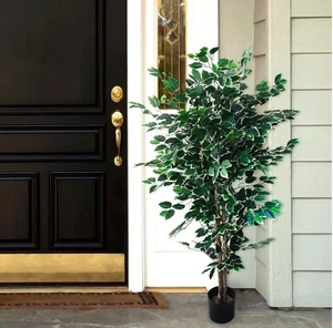 5 Foot Indoor Outdoor Fake Ficus Tree Artificial Plant - Picture 1 of 2