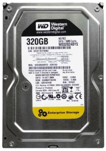 WD3202ABYS Western DigitaL 320GB 7200RPM SATA 3Gb/s 3.5" Hard Drive TESTED - Picture 1 of 2