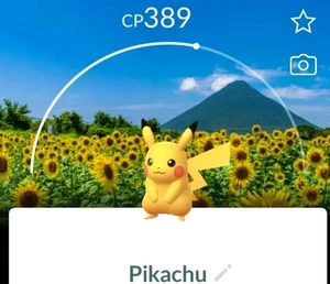 Pokémon GO/PIKACHU With JAPAN-kagoshima Location Card Stamp Rally 2025! - Picture 1 of 1