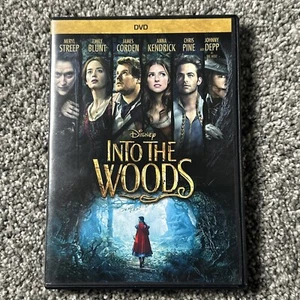 Into The Woods DVD 2014 Fast Shipping - Picture 1 of 3