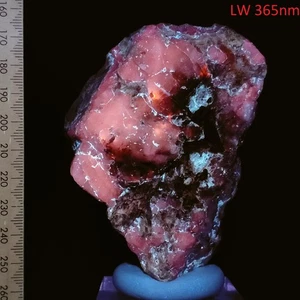 Sodalite var Hackmanite fluorescente larga duración fosforescente resplandor posterior 0,27 kg - Imagen 1 de 11