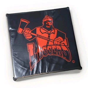 RARO cuscino sedile aahl Lapeer Loggers Michigan Minor League hockey candeggina 13" - Foto 1 di 7