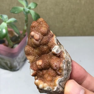 Natural crazy Mexican agate Crystal gemstone rough original Specimen 60g A1461 - Picture 1 of 15