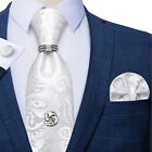 Silk Men Necktie Sets Hanky Cufflink With Tie Tack Silver Ring Wedding Accessory