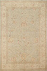 6'x8' Vegetable Dye Floral Chobi-Peshawar Oriental Area Rug Hand-knotted Carpet