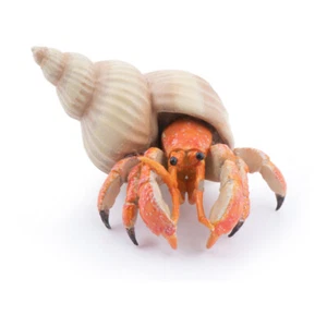 PAPO Marine Life Hermit Crab Toy Figure - Picture 1 of 1