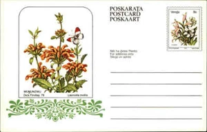 Südafrika Karten-Ganzsache ungelaufen 1979 Serie Blumen 8 C Homeland "VENDA" - Imagen 1 de 1