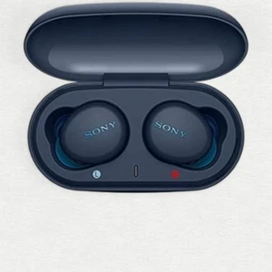 Sony WF-XB700 Wireless Stereo Earphone EXTRA BASS Bluetooth Canal Earbud - Bild 1 von 10