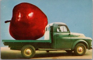 Vintage Virginia ÜBERTREIBUNG Comic Postkarte "Apfel gewachsen im Shenandoah Valley" - Bild 1 von 2