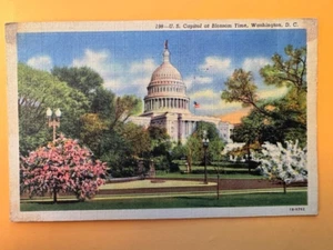 Postkarte: US-Hauptstadt zur Blütenzeit, Washington, D.C., verschickt 1940er Jahre - Bild 1 von 2