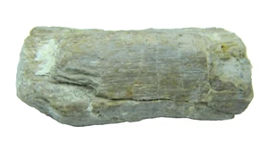 Jurassic Sauropod Dinosaur Bone Provenance: Sahara Desert, Morocco 23.71 grams - Picture 1 of 5
