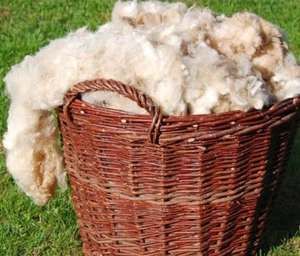 Schafwolle, Rohwolle, unsortiert, ungereinigt, naturbelassen,Dünger Natur-Dünger - Bild 1 von 5