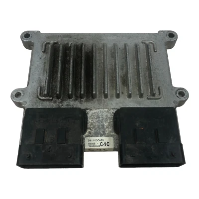 ✅ 06-09 MÓDULO INFORMÁTICO MOTOR KIA SEDONA / HYUNDAI ENTOURAGE 39110-3C465  Foto 1 de 4