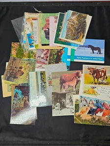 CABALLOS y MÁS - LOTE DE POSTALES VINTAGE - CON CANCELACIONES - Imagen 1 de 8