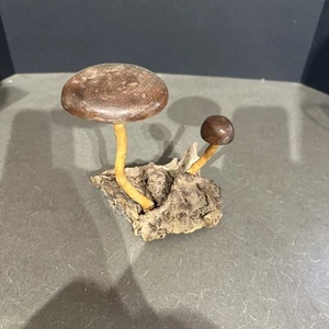 Vintage 1972 Wood Mushroom Sculpture on Driftwood  Base Burl Wood 7” Tall - Picture 1 of 12