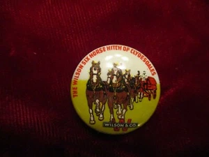 Wilson Co Clydesdales Union Local Button - Imagen 1 de 2