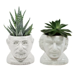 Mini Blumentopf Albert Einstein Keramik Beethoven Kopf Sigmund Freud UPG Weiß - Picture 1 of 15