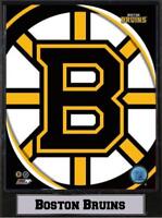 Boston Bruins Logo Holz Wandbild 30 cm,Plaque NHL Eishockey ,Neu