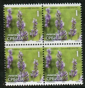 1500a SERBIA 2020 - Flowers - Lavandula - Definitive Stamps - MNH Block of 4 - Picture 1 of 2