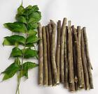 10XNatural Neem Chew Sticks/Tree Datun Twigs Organic Toothbrush